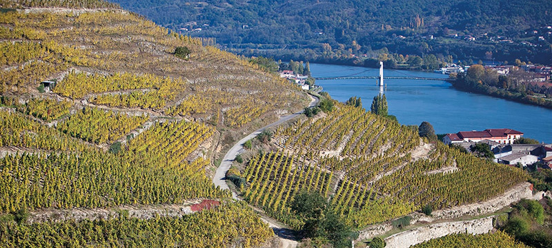Discover the Diverse and Exciting RhÃ´ne Valley Wine Region |
WineTourism.com